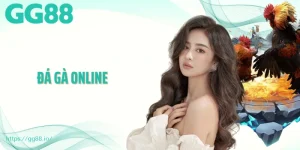Đá Gà Online – Bước Chân Vào Thế Giới Giải Trí Đầy Màu Sắc