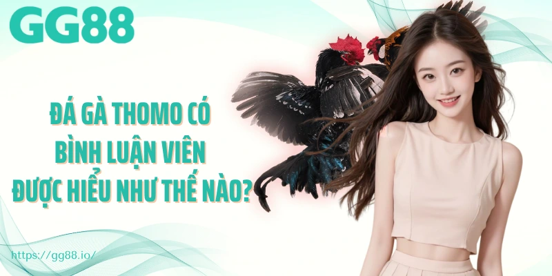 Đá gà thomo có bình luận viên được hiểu như thế nào?