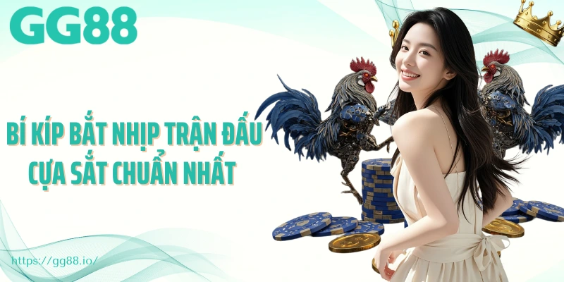 Bí kíp bắt nhịp trận đấu cựa sắt chuẩn nhất 