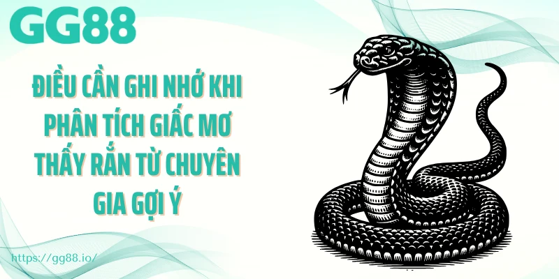 Điều cần ghi nhớ khi phân tích giấc mơ thấy rắn từ chuyên gia gợi ý