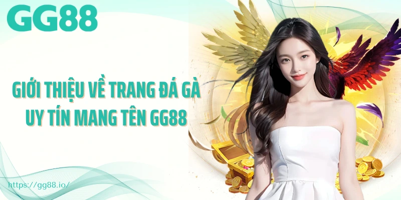 Giới thiệu về trang đá gà uy tín mang tên GG88