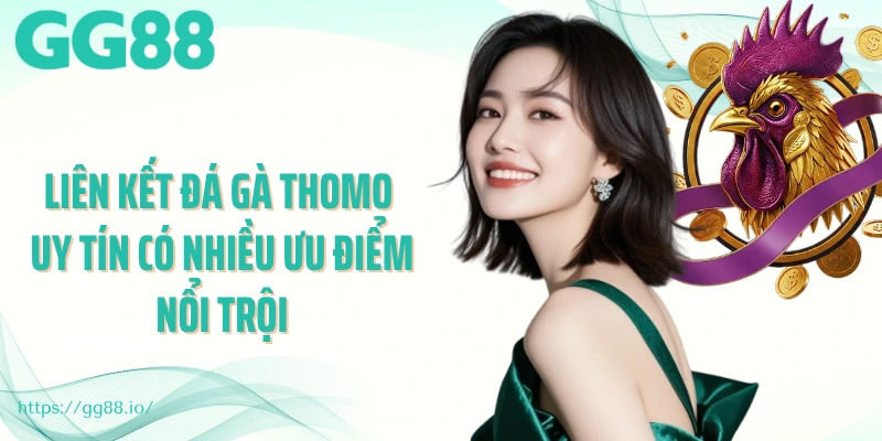 Liên kết đá gà thomo uy tín có nhiều ưu điểm nổi trội