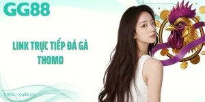 Link Trực Tiếp Đá Gà Thomo Uy Tín Nhất Tại Nền Tảng GG88