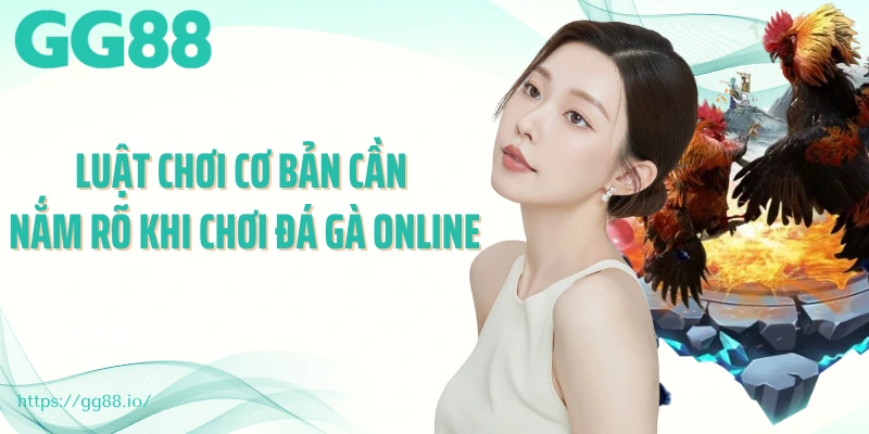 Luật chơi cơ bản cần nắm rõ khi chơi đá gà online