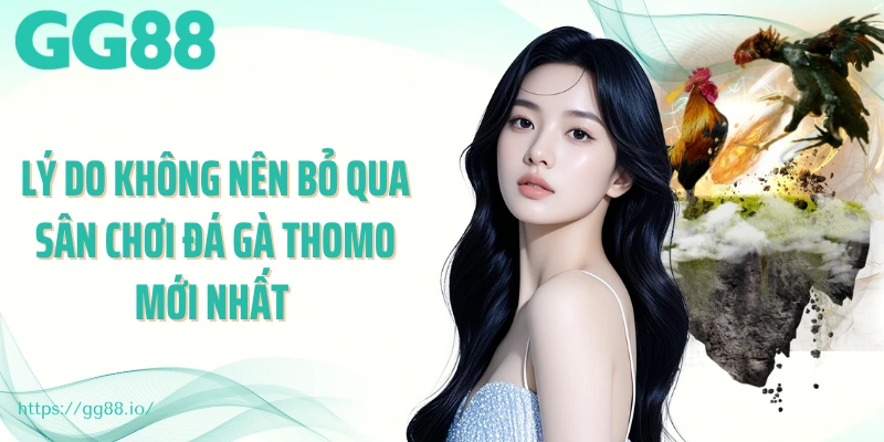 Lý do không nên bỏ qua sân chơi đá gà thomo mới nhất 