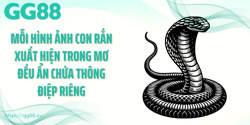 Mỗi hình ảnh con rắn xuất hiện trong mơ đều ẩn chứa thông điệp riêng