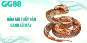 Nằm Mơ Thấy Rắn Đánh Số Mấy Để Gặp May Mắn