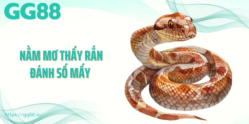 Nằm Mơ Thấy Rắn Đánh Số Mấy Để Gặp May Mắn