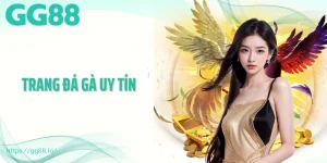 Trang Đá Gà Uy Tín GG88 - Sân Chơi An Toàn Và Chuyên Nghiệp