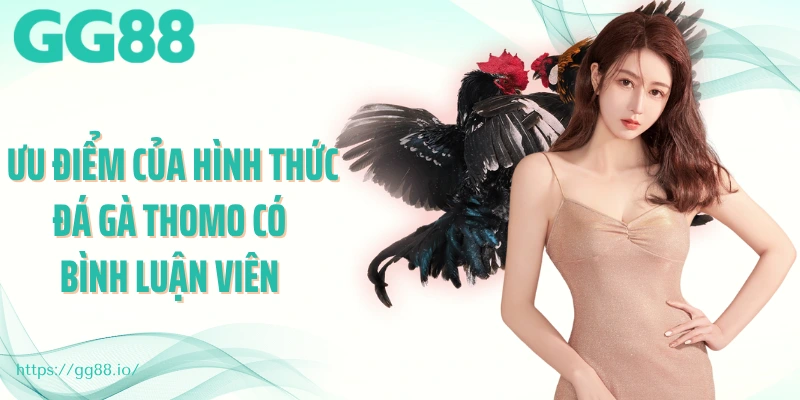 Ưu điểm của hình thức đá gà thomo có bình luận viên 