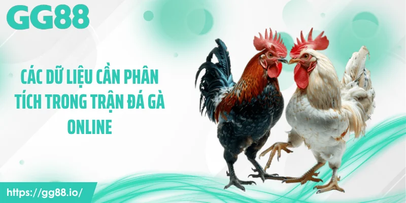 Các dữ liệu cần phân tích trong trận đá gà online