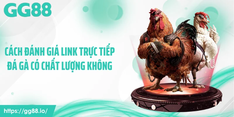 Cách đánh giá link trực tiếp đá gà có chất lượng không