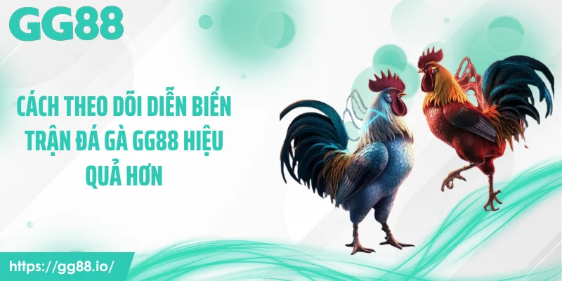 Cách theo dõi diễn biến trận đá gà GG88 hiệu quả hơn