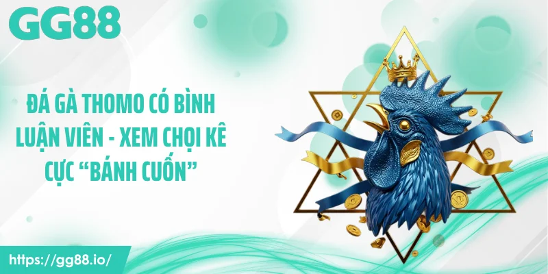 Đá Gà Thomo Có Bình Luận Viên - Xem Chọi Kê Cực “Bánh Cuốn”