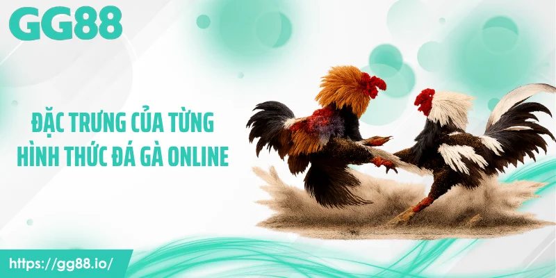 Đặc trưng của từng hình thức đá gà online
