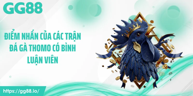 Điểm nhấn của các trận đá gà Thomo có bình luận viên