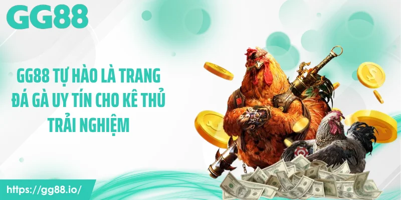 GG88 tự hào là trang đá gà uy tín cho kê thủ trải nghiệm