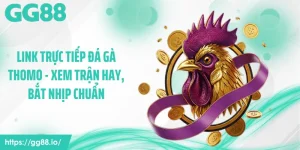 Link Trực Tiếp Đá Gà Thomo - Xem Trận Hay, Bắt Nhịp Chuẩn
