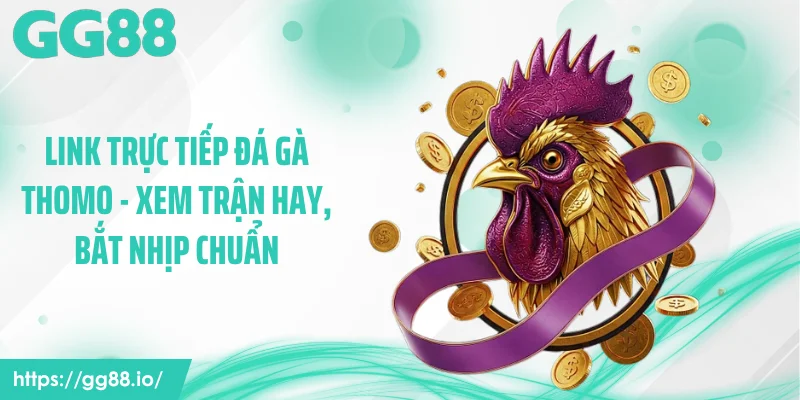 Link Trực Tiếp Đá Gà Thomo - Xem Trận Hay, Bắt Nhịp Chuẩn