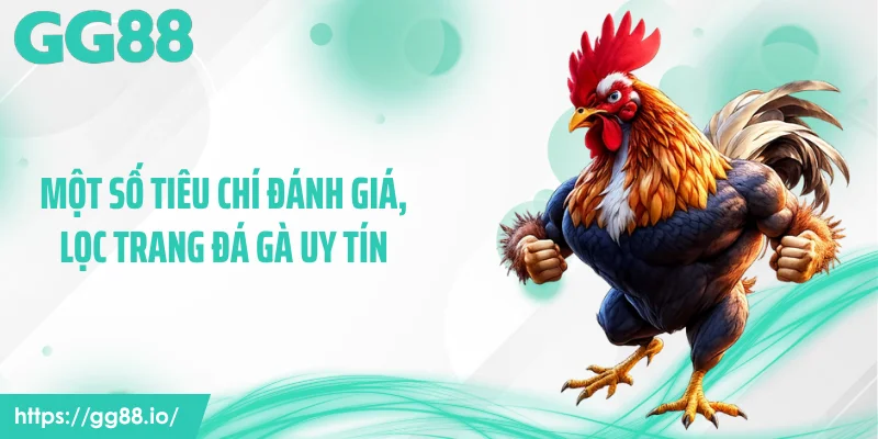 Một số tiêu chí đánh giá, lọc trang đá gà uy tín