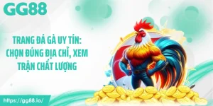 Trang Đá Gà Uy Tín: Chọn Đúng Địa Chỉ, Xem Trận Chất Lượng