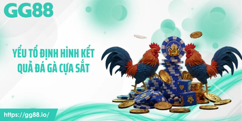 Yếu tố định hình kết quả đá gà cựa sắt